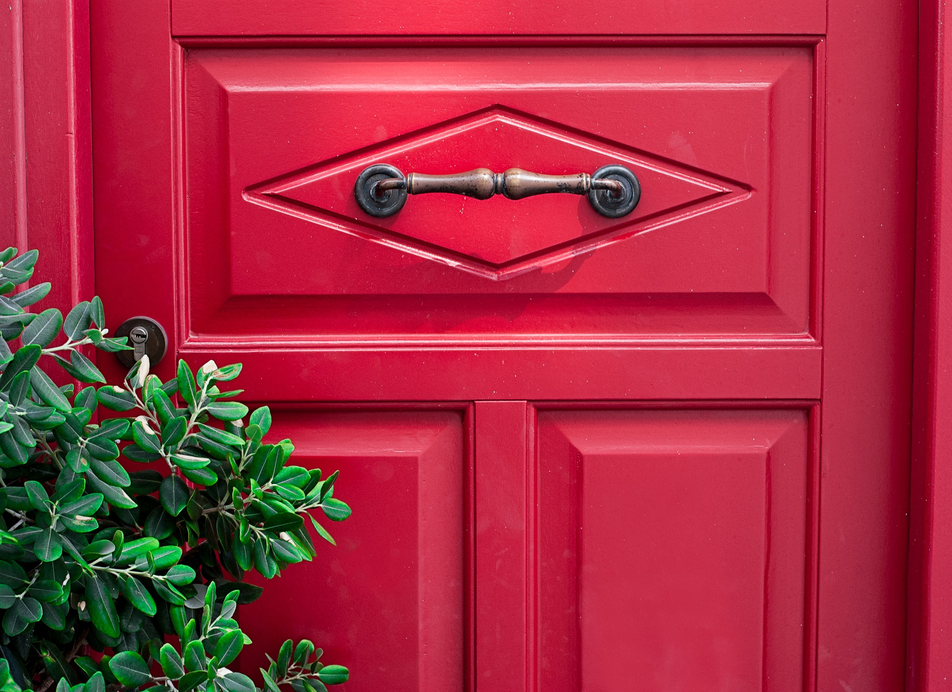 Raised-panel door detail