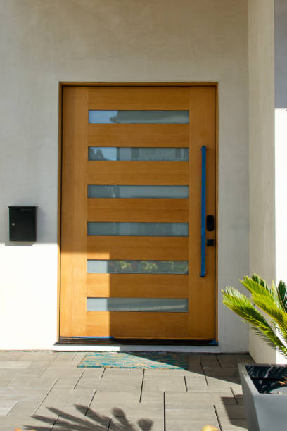 Modern Office Door