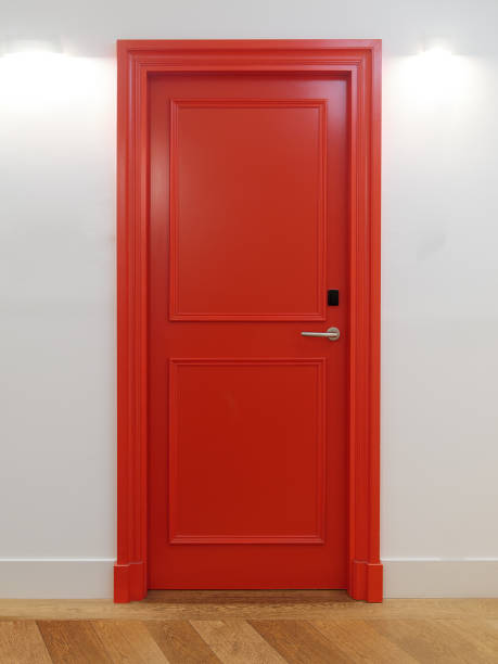 Modern Entrance Door